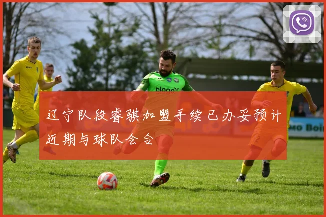 辽宁队段睿骐加盟手续已办妥预计近期与球队会合